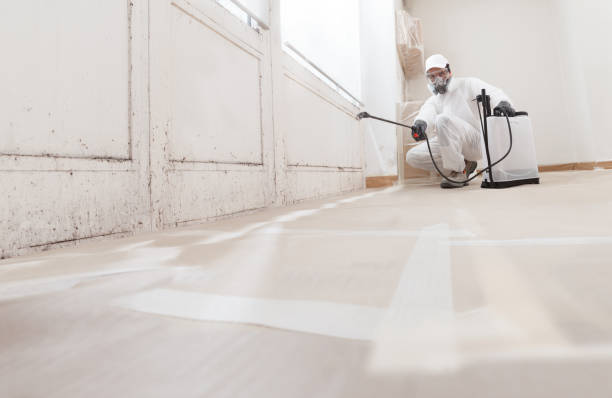 24/7 Emergency Mold Removal experts in Ramsey, MN
